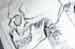 Sketch of skull